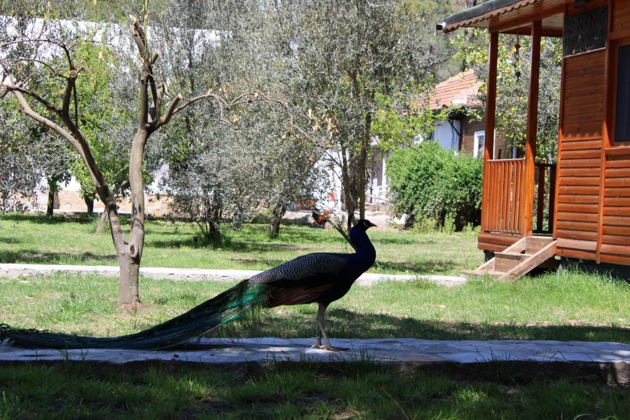 Seker Bungalov Apartment Cirali Exterior photo