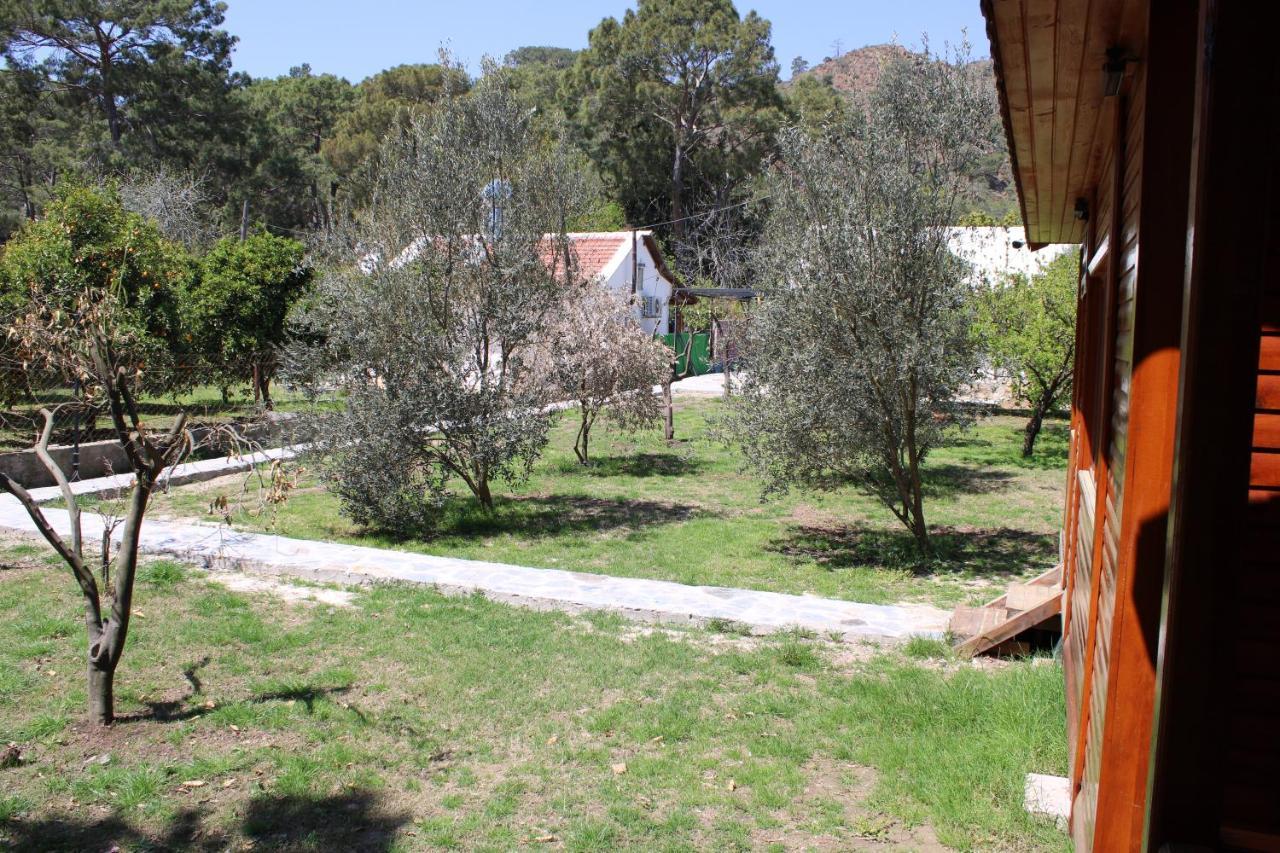 Seker Bungalov Apartment Cirali Exterior photo