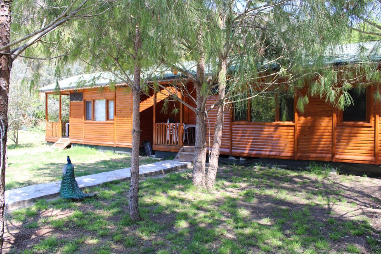 Seker Bungalov Apartment Cirali Exterior photo
