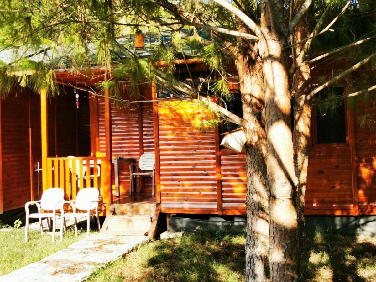 Seker Bungalov Apartment Cirali Exterior photo